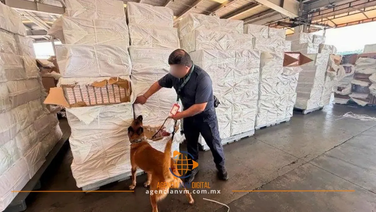 Aseguran más de 10 millones de cigarrillos apócrifos en Michoacán