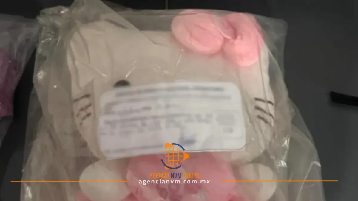 Frenan contrabando masivo de mercancía ilegal en Lázaro Cárdenas 