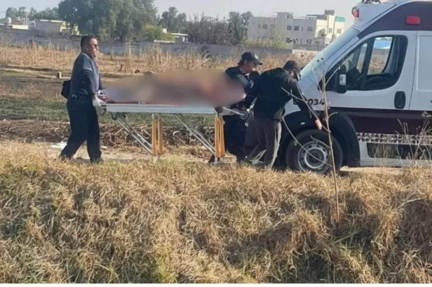 Denuncian ataques de jauría que deja tres heridos en Zumpango