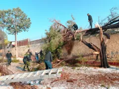 Despliegan operativo de emergencia tras intensa lluvia en Hueypoxtla