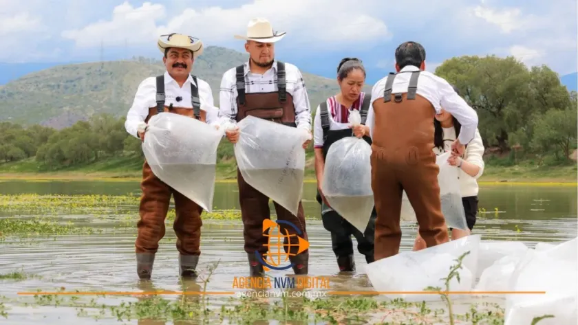 Fortalecen economía rural con proyecto piscícola en Texcoco
