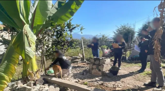 Ejecutan cateo en Valle de Bravo por maltrato animal