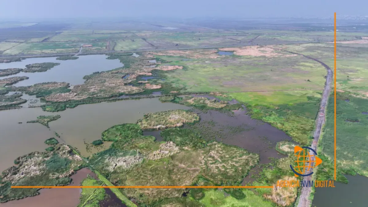 Impulsa Ecatepec rescate ambiental del humedal El Caracol