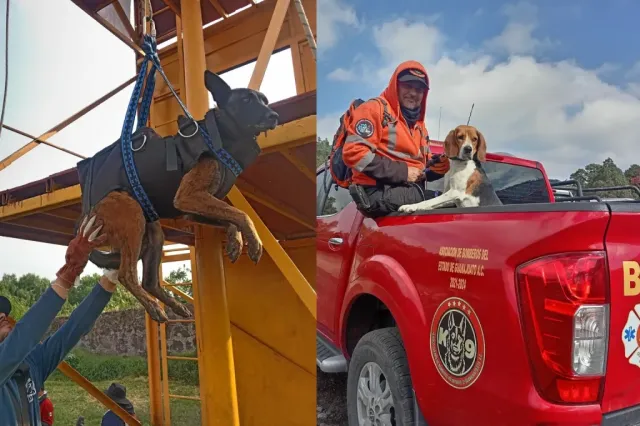 Elevan nivel de rescate binomios K9 de Bomberos Voluntarios Pirámides