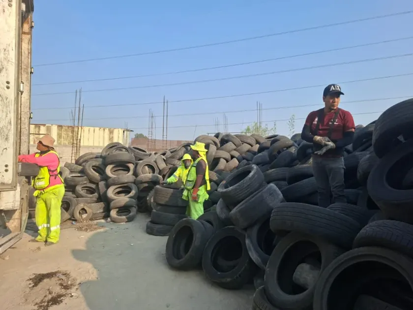 Eliminan focos de infección con retiro masivo de neumáticos usados