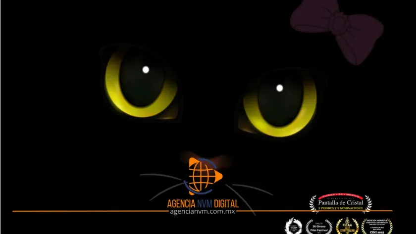 Compite documental sobre gata migrante por el Ariel 