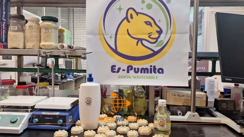 Transforman aceite de cocina en jabón líquido biodegradable 