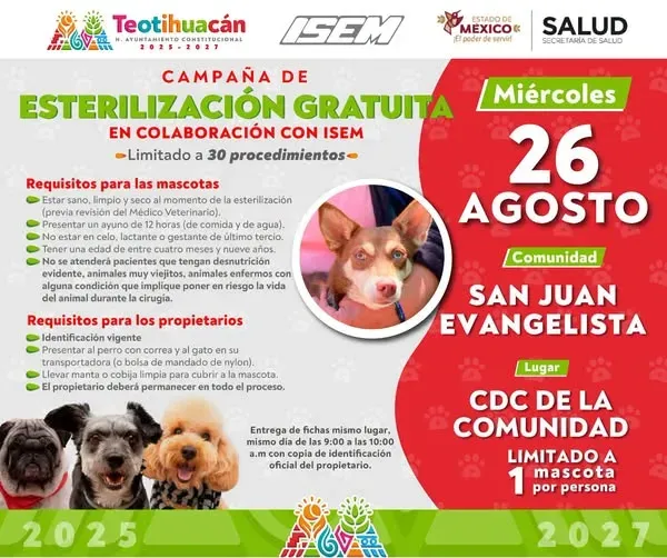 Convoca Teotihuacán a jornada de esterilización gratuita