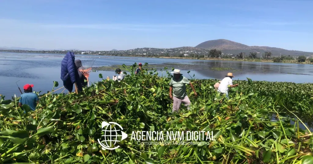 Exigen pescadores plan urgente para salvar la Laguna de Zumpango