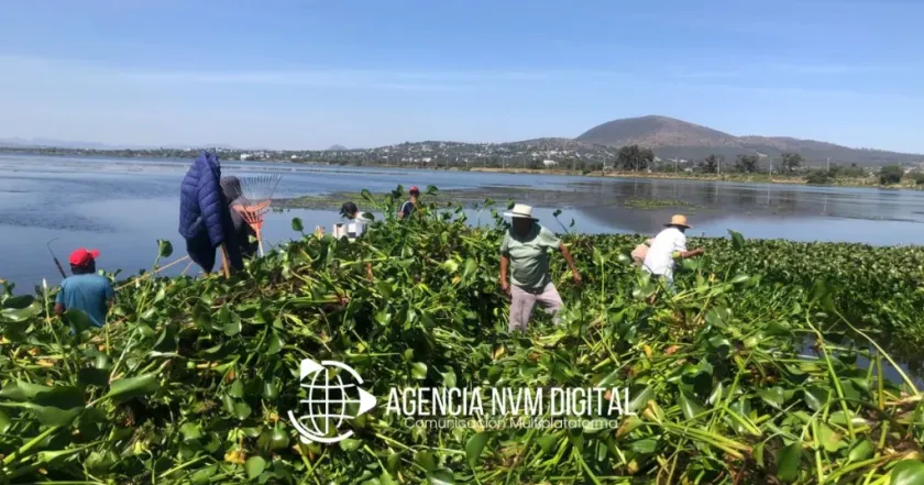 Exigen pescadores plan urgente para salvar la Laguna de Zumpango
