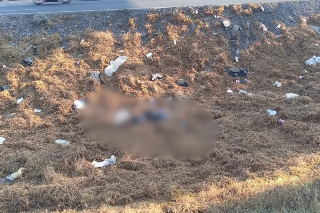 Fallece joven tras ser atropellado en la carretera Lechería–Texcoco
