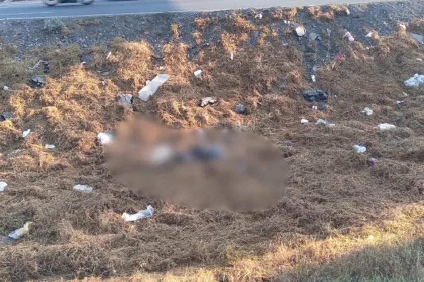 Fallece joven tras ser atropellado en la carretera Lechería–Texcoco