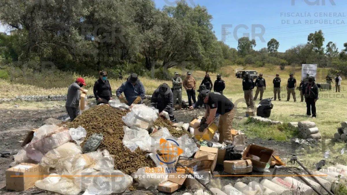 Incineran más de media tonelada de droga en Teotihuacán