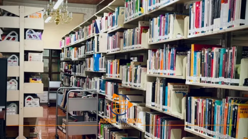 El IEEM invita a conocer su biblioteca especializada durante las vacaciones