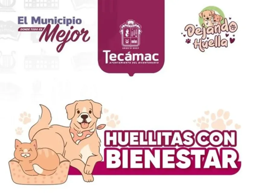Impulsa Tecámac tenencia responsable con salud animal gratuita.