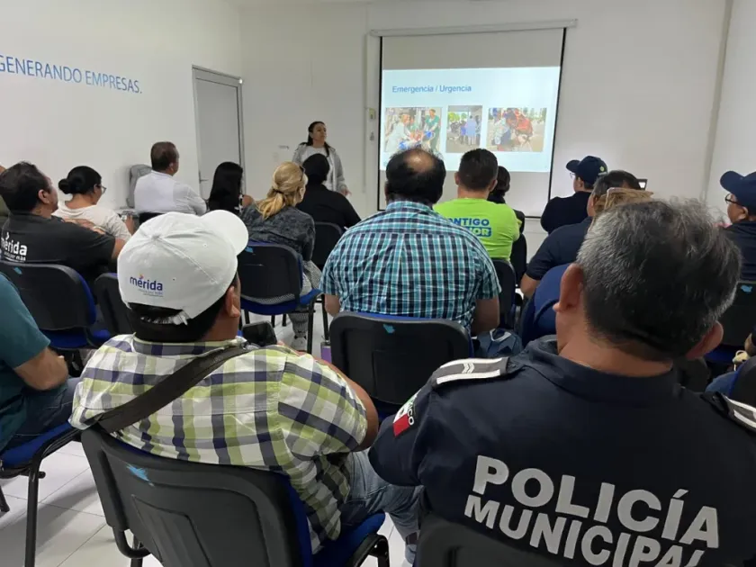 Impulsan en Yucatán planes de emergencia que incluyen a los animales ante temporada de huracanes