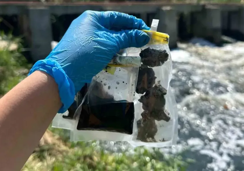 Investigan cómo los microbios sobreviven a la contaminación 