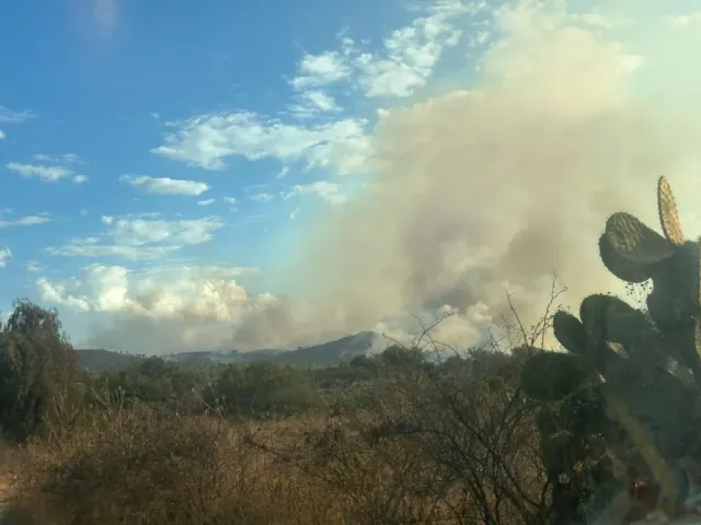 Investigan origen intencional de fuego forestal en Ejidos de Belem