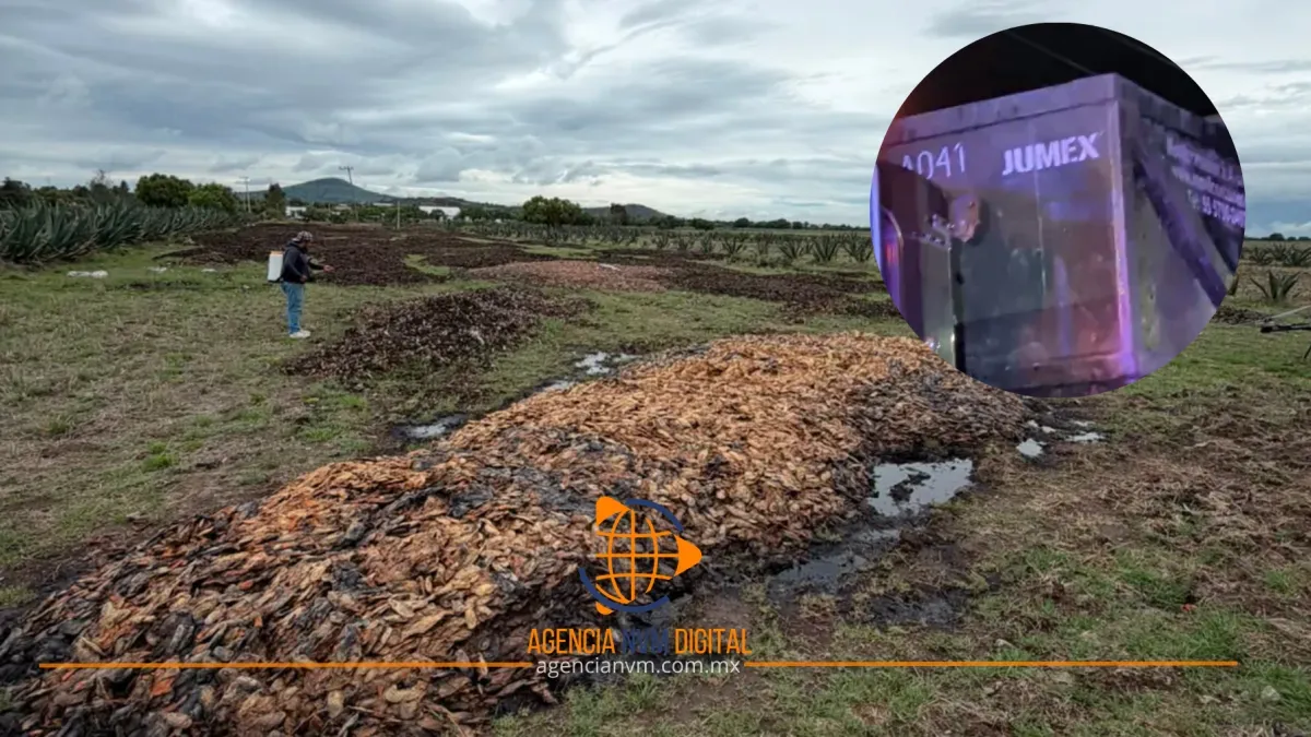 Gobierno de Temascalapa intensifica medidas tras crisis sanitaria ambiental