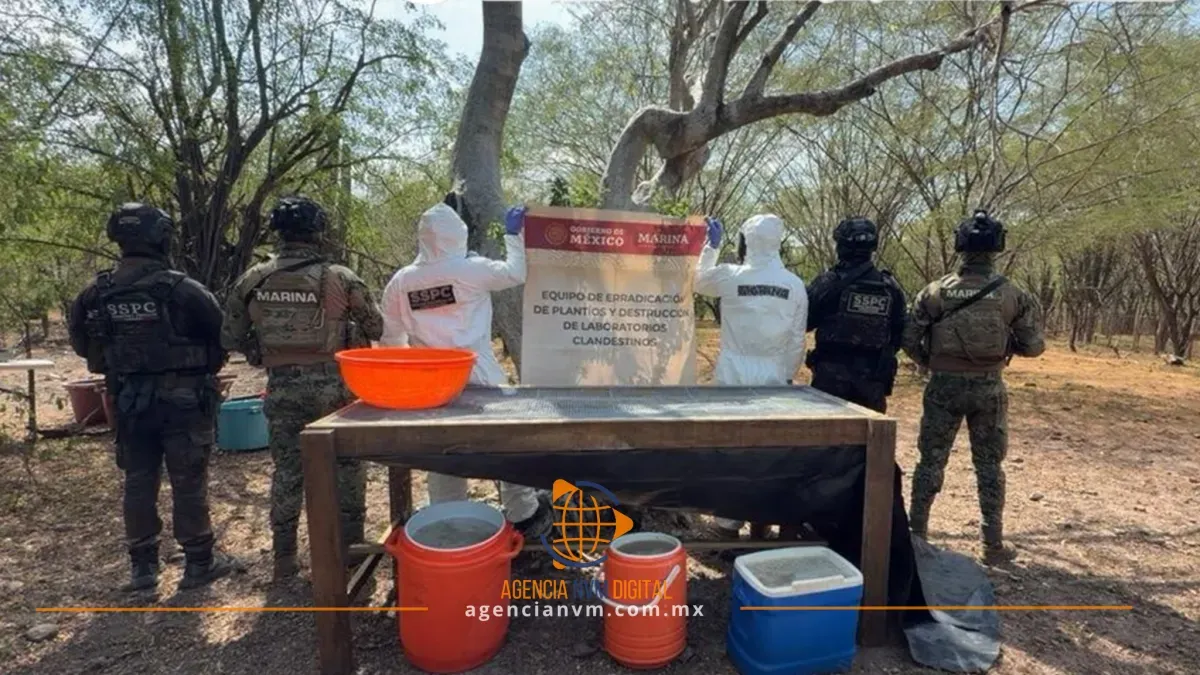 Desmantelan narcolaboratorio de metanfetaminas en Culiacán con millonario decomiso 