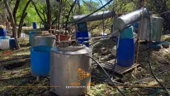 Aseguran miles de litros de precursores químicos en Sinaloa