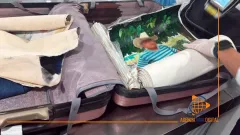 Aseguran cargamento de droga disfrazado de arte en AICM