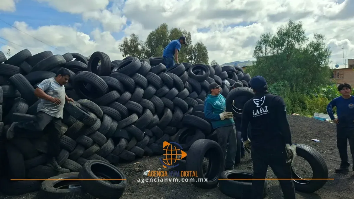 Frena La Paz la contaminación con histórica recolección de llantas 