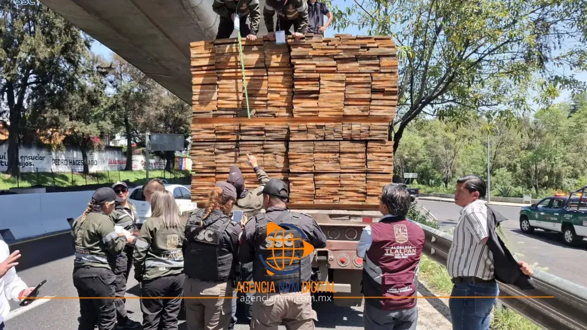 Frenan cargamento de madera clandestina durante operativo en Tlalpan