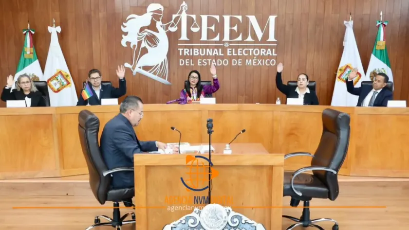 Sentencia TEEM protección a derechos de representante indígena