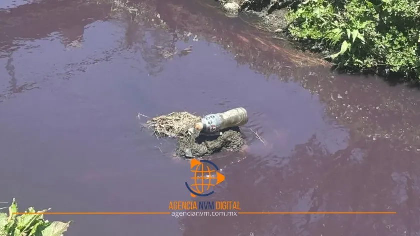 Cuestiona especialista abandono del medio ambiente en México