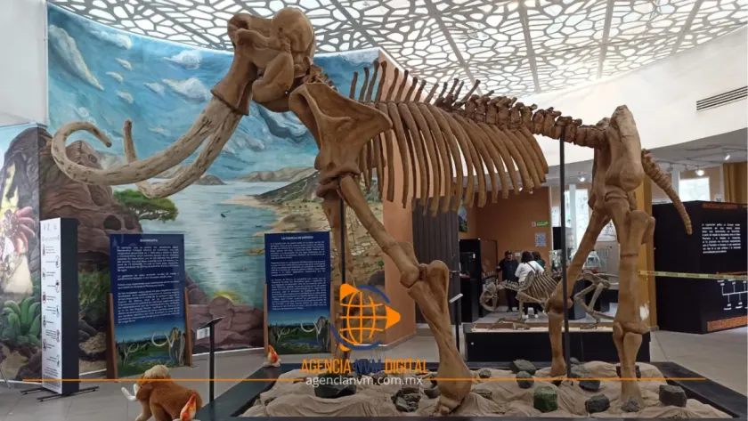 Recupera Ecatepec espacio histórico en el Museo Muva