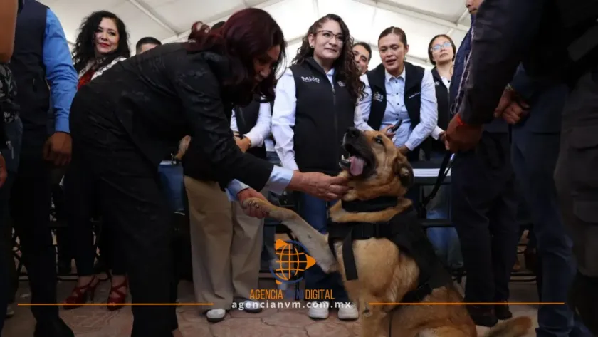 Anuncian nuevas clínicas veterinarias durante jornada de vacunación en Tecámac
