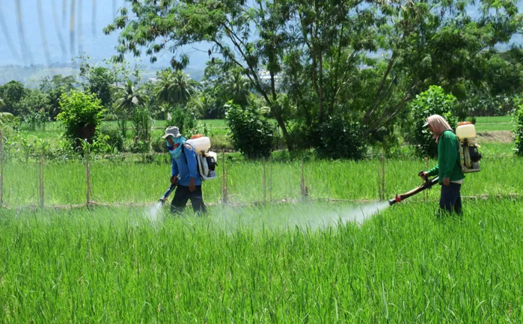 Plaguicidas ilegales ponen en riesgo agricultura mexicana