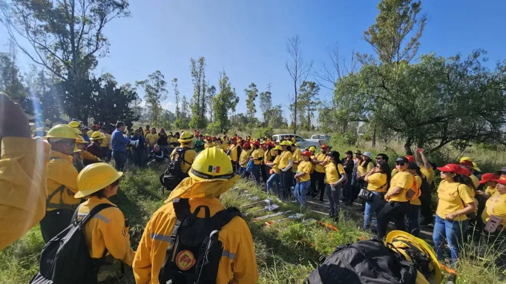 Presenta UACh informe de avances en educación y protección forestal