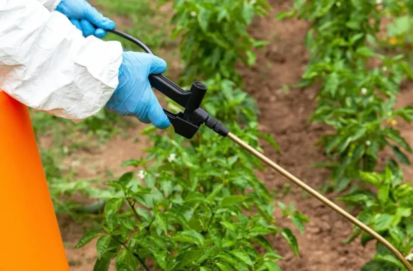 Prohibición de 35 Fitosanitarios Impulsa Agricultura Sustentable