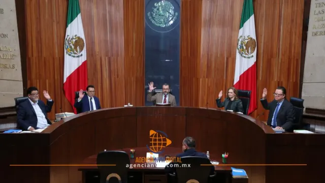 Desecha Sala Superior queja contra Álvarez Máynez y MC