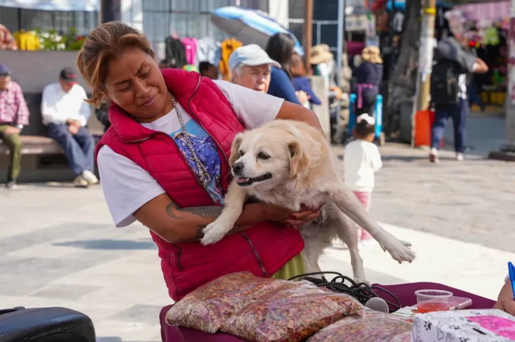 Realizan jornada de adopción animal en municipio de La Paz