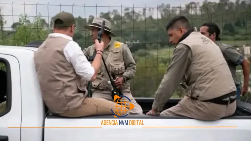 Especialistas de Reino Animal se suman a la busqueda del Tigre en Tepetlaoxtoc
