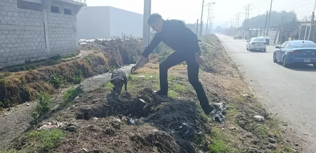 Rescata Guardia Civil de Tecámac a cachorro en canal de aguas negras