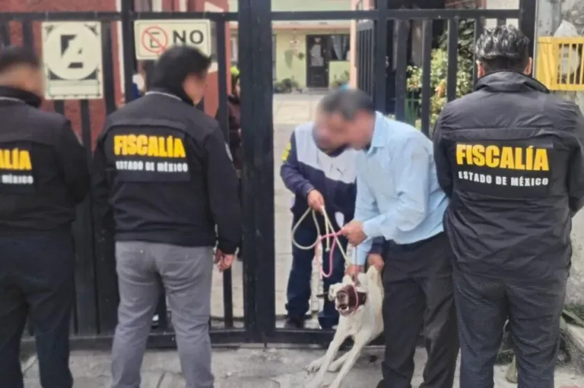 Rescatan a perro por presunto maltrato animal en Lerma