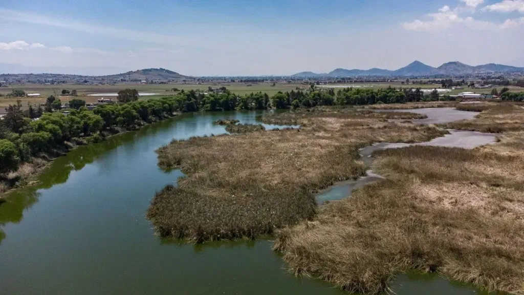Resguarda UAEMéx el humedal "Las Maravillas" como santuario ecológico