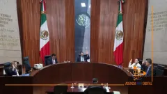 Ordena Tribunal Electoral inscribir a 24 internautas en registro de agresores