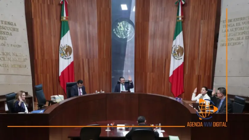 Ordena Tribunal Electoral inscribir a 24 internautas en registro de agresores