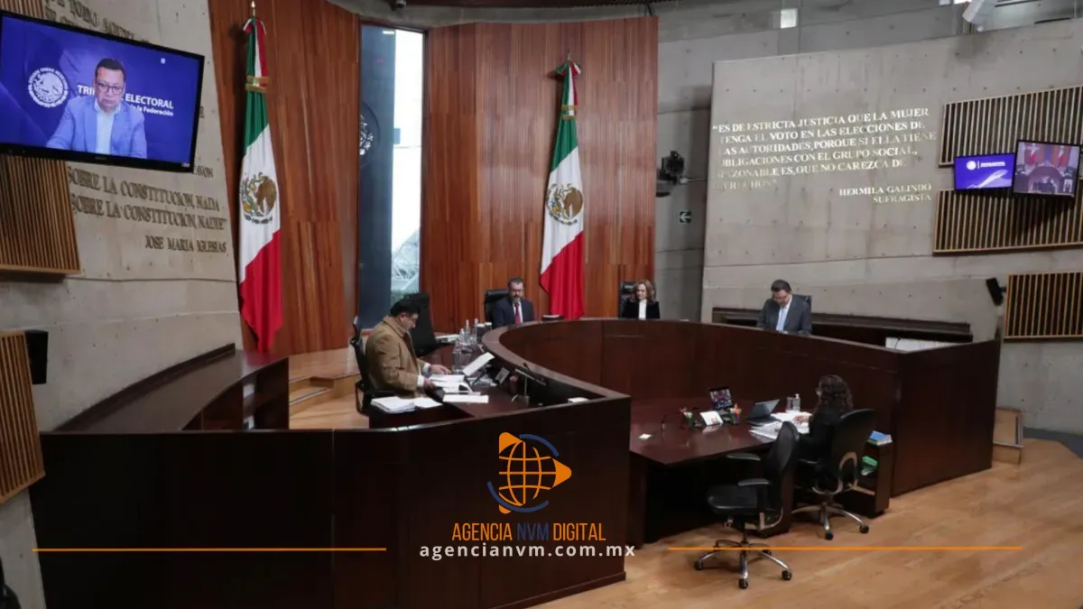 Desecha TEPJF queja de Morena contra militante panista por publicaciones 