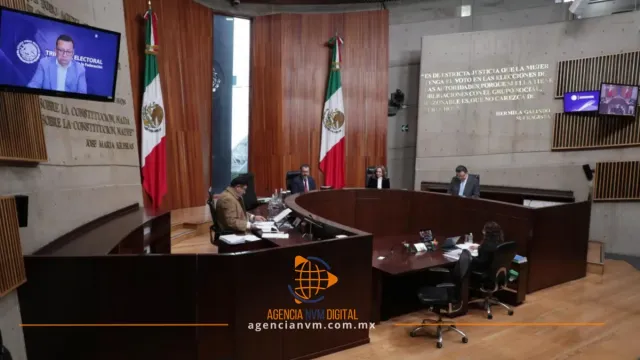 Desecha TEPJF queja de Morena contra militante panista por publicaciones