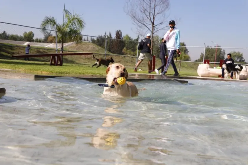 Tecámac consolida bienestar animal con Parque Canino 