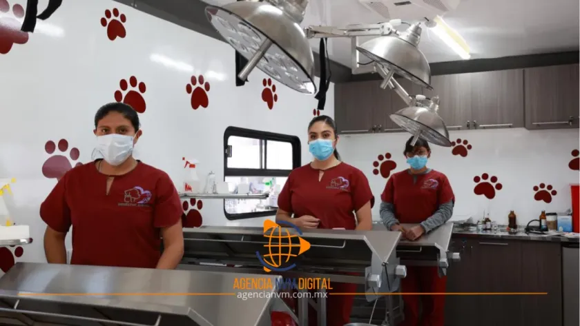 Promueve administración de Tecámac tenencia responsable de mascotas