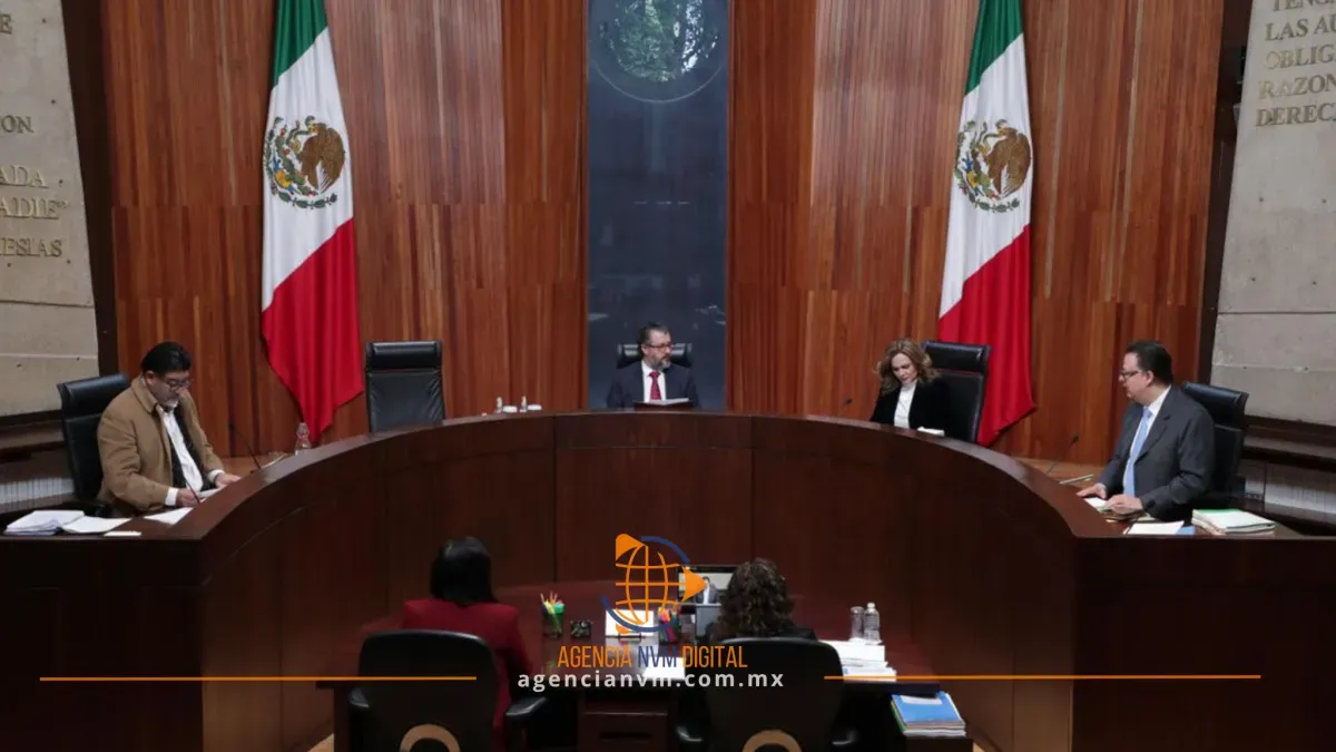 Ordena TEPJF investigar a la CNDH por promocional con sesgo político