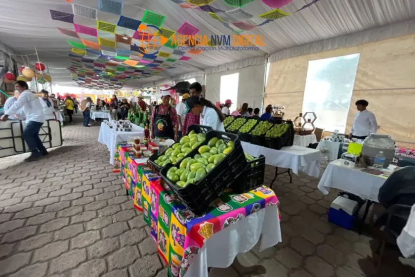 Un Festival de Colores y Sabores: La Tuna como Alma de San Martín de las Pirámides