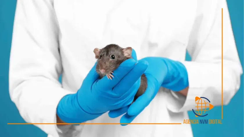 Hantavirus: la medicina veterinaria, clave en la prevención de riesgos sanitarios